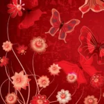 31568252388_b1b025f022_o_d-1000x1000-1.webp