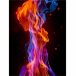 44528637955_62bd5336a9_o_d-1000x1000-1.webp