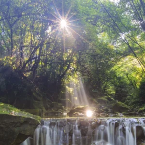 44528658085_a6e3e2900a_o_d-1000x1000-1.webp