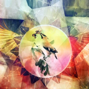 45391468672_a6433da3af_o_d-1000x1000-1.webp