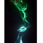 45391582892_9ae79f48e9_o_d-1000x1000-1.webp