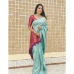 BSB233-SASYYYH-4084-BLUE-Main-1000x1000-1.webp