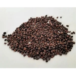 BSB267-SE1009-Main-1000x1000-1.webp