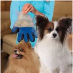 PID-63739-5-Finger-Deshedding-Glove-Pack-of-2-Pet-Hair-Remover-Grooming-Gloves-3-1000x1000-1.webp