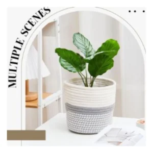 PID-66435-Cotton-Pack-Of-1-Flower-Pot-With-Out-Lid-Gray-White-2-1000x1000-1.webp